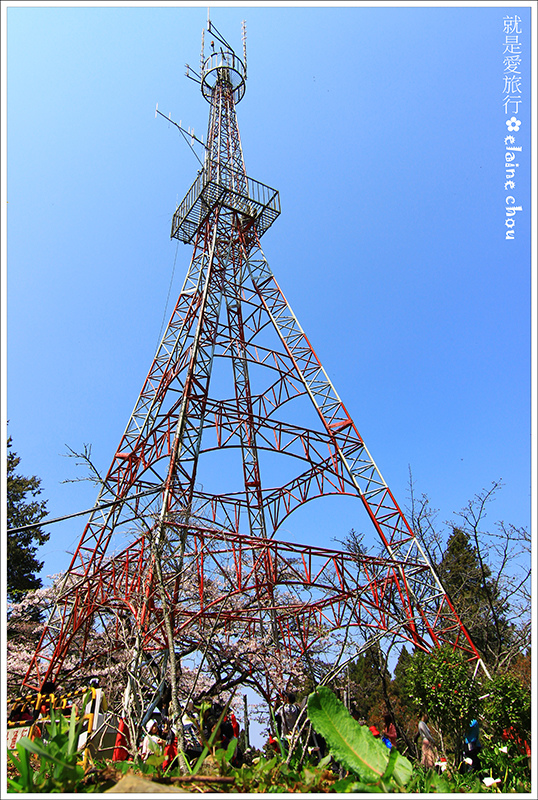 阿里山56.JPG