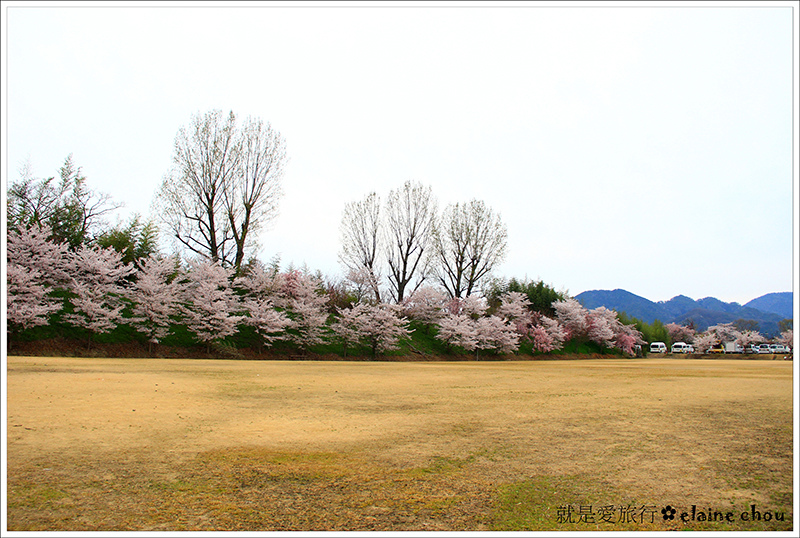 篠山城跡62.JPG