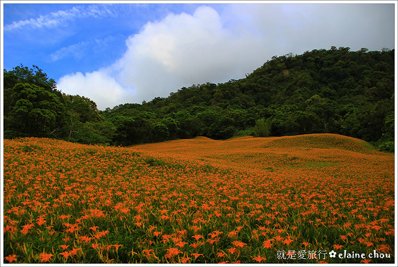 赤柯山11.JPG