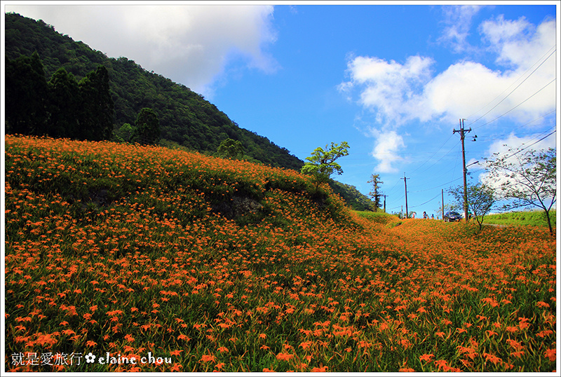 赤柯山16.JPG