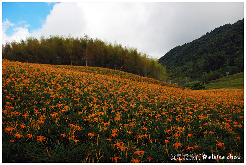 赤柯山35.JPG