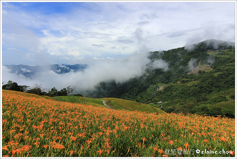 太麻里鄉公所金針山賞花專車01.JPG 太麻里鄉公所金針山賞花專車01.JPG