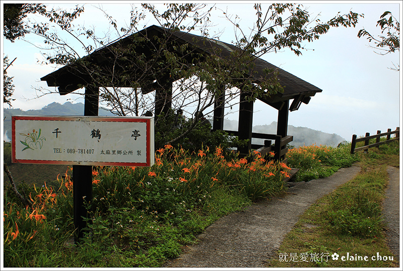 太麻里鄉公所金針山賞花專車19.JPG