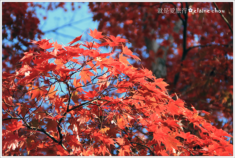 清水寺04.jpg