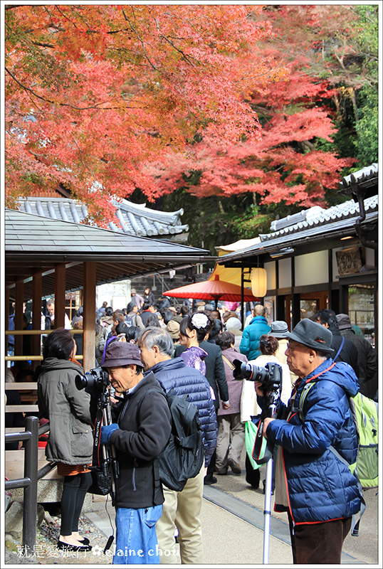 清水寺35.jpg