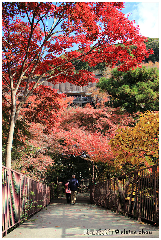 清水寺38.jpg