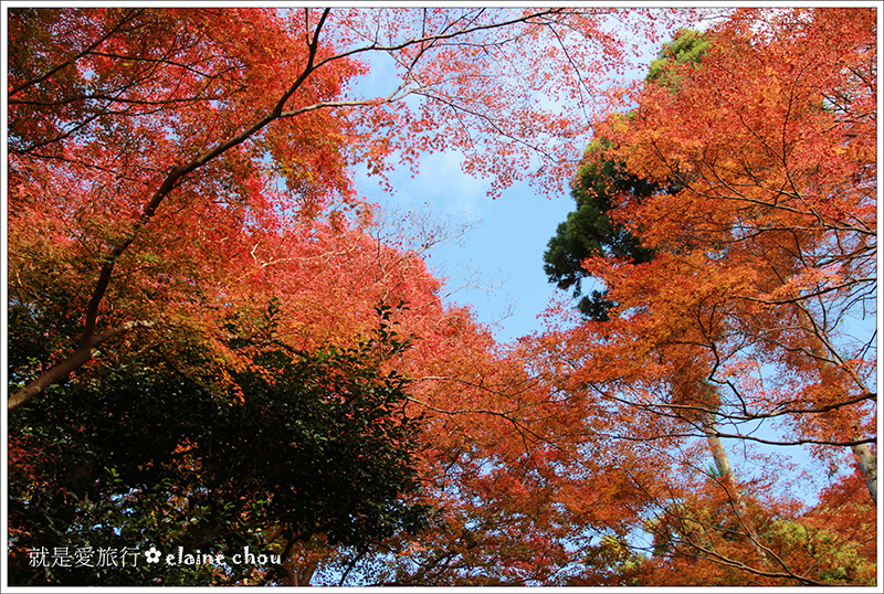 清水寺45.jpg