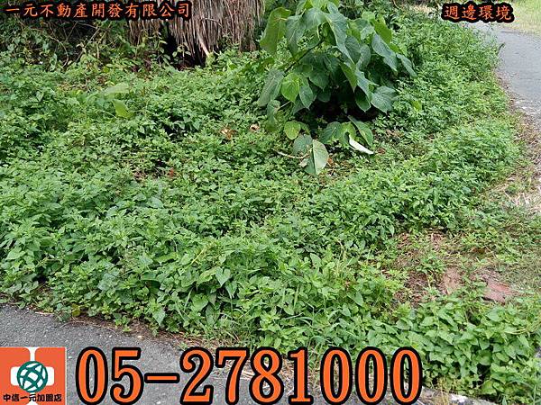 24056_調整大小 24056_調整大小
