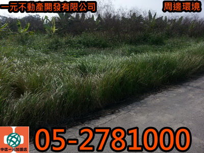 161247_調整大小 161247_調整大小