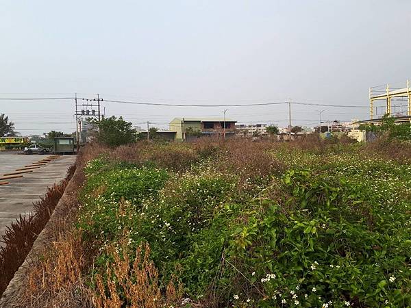 timeline_20180327_094242.jpg timeline_20180327_094242.jpg