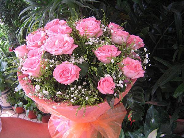 201207101541579531.jpg 201207101541579531.jpg