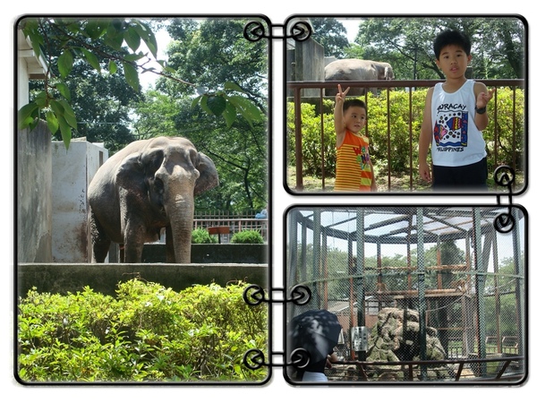 23.還有附設一各小小動物園.jpg