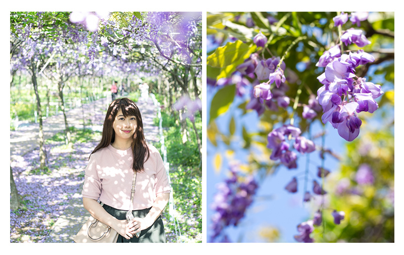 台北IG打卡景點  | 花季海景，淡水紫藤花季