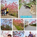 LINE_ALBUM_鳳凰ok_220328_40.jpg