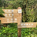 LINE_ALBUM_鳳凰ok_220328_10.jpg