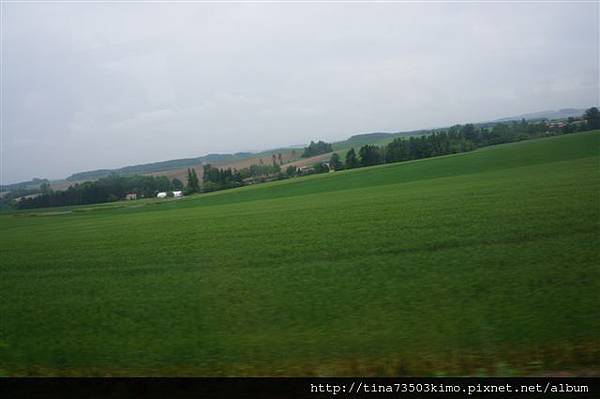 DSC08575.JPG