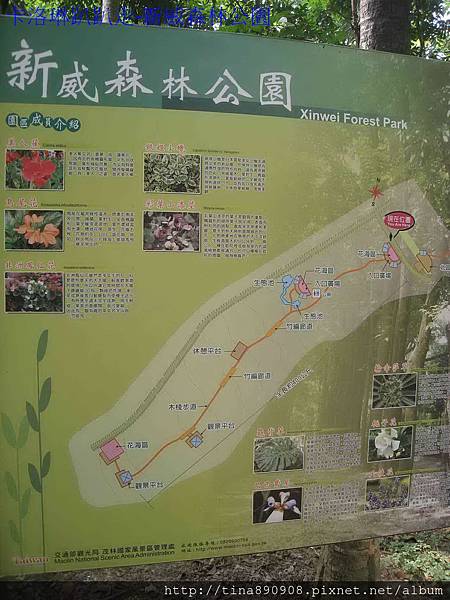 1021117-新威森林公園-C (51)