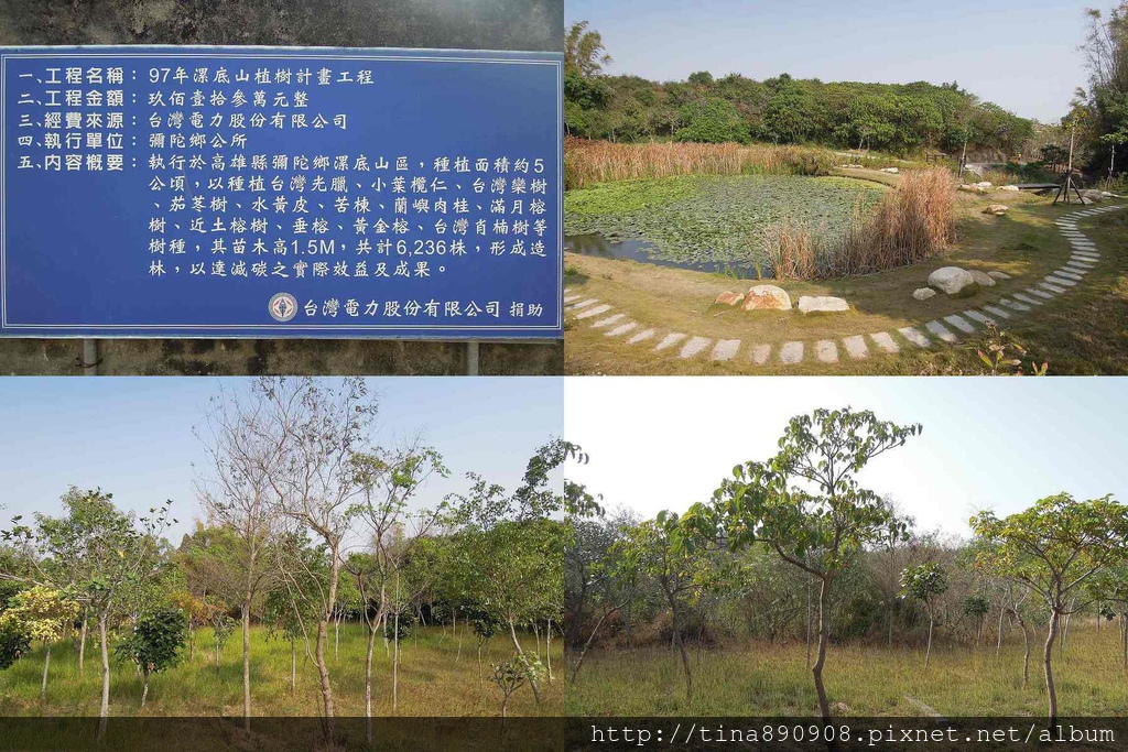 1-彌陀-漯底山公園-植栽.jpg