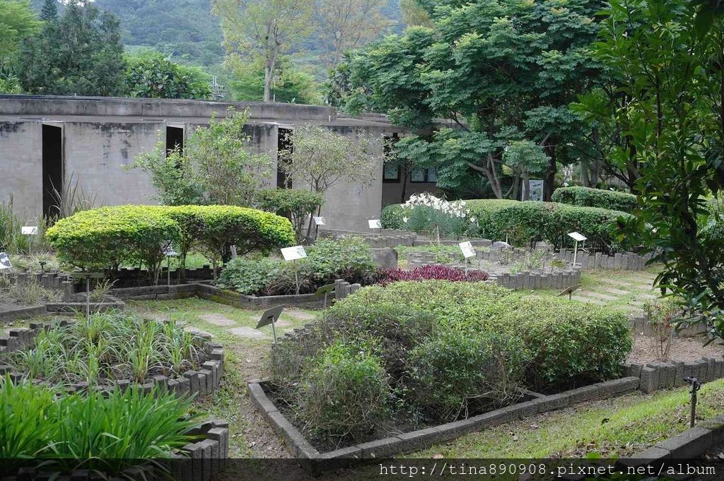 台東植物園 (17).jpg