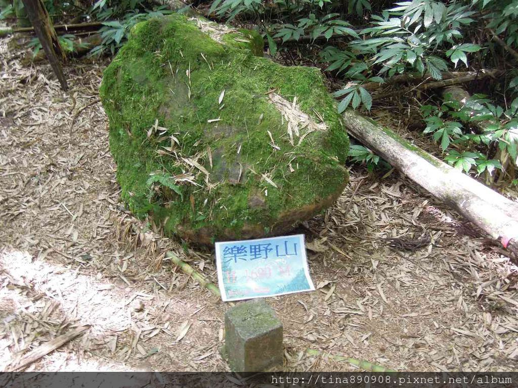 2-1031102-登山社-嘉義-茶之道步道(17).jpg