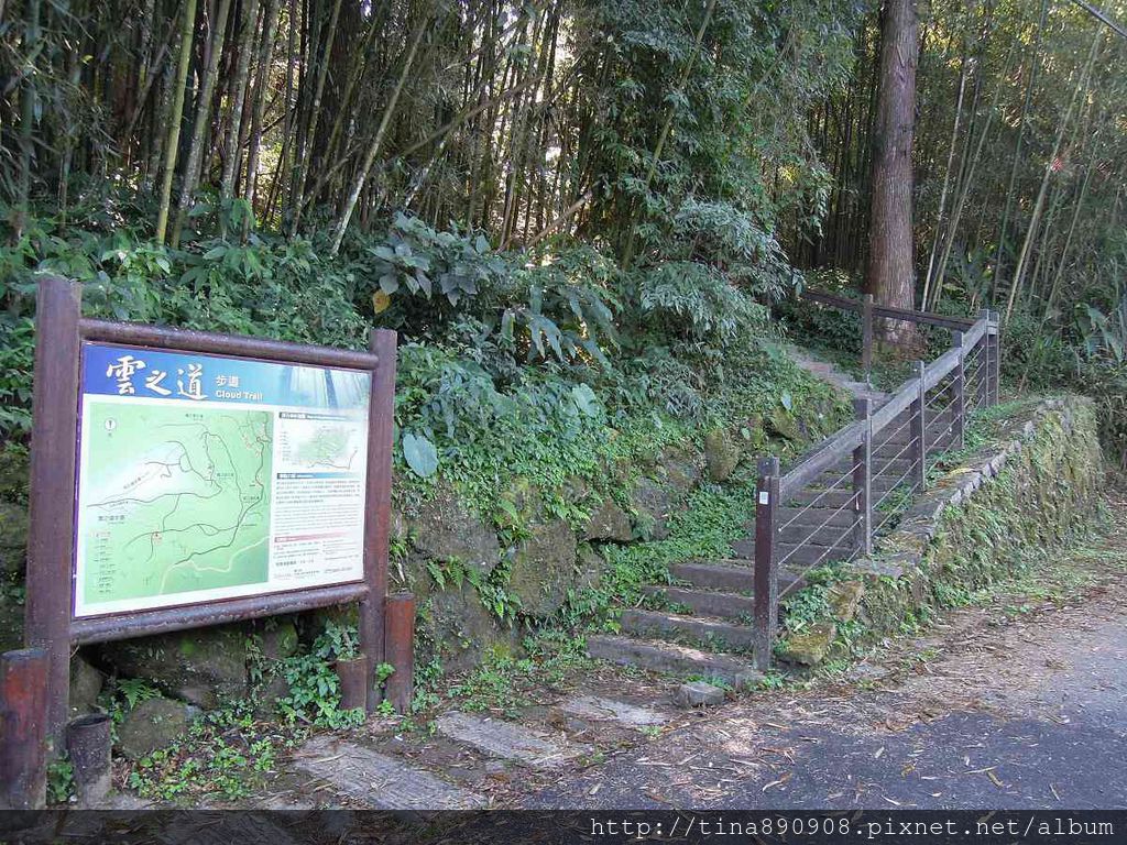 3-1031102-登山社-嘉義-雲之道步道(12).jpg