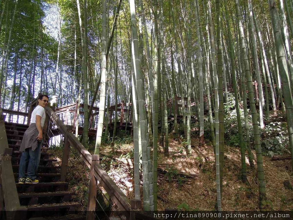 4-1031102-登山社-嘉義-霞之道步道(4).jpg