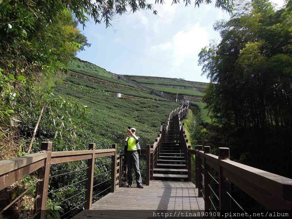 4-1031102-登山社-嘉義-霞之道步道(5).jpg