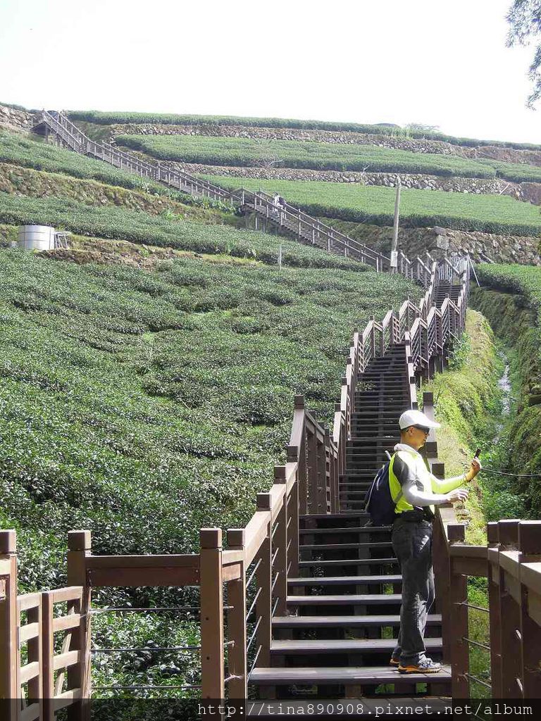 4-1031102-登山社-嘉義-霞之道步道(6).jpg