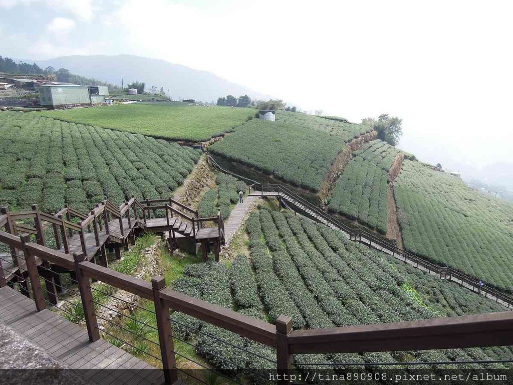 4-1031102-登山社-嘉義-霞之道步道(20).jpg