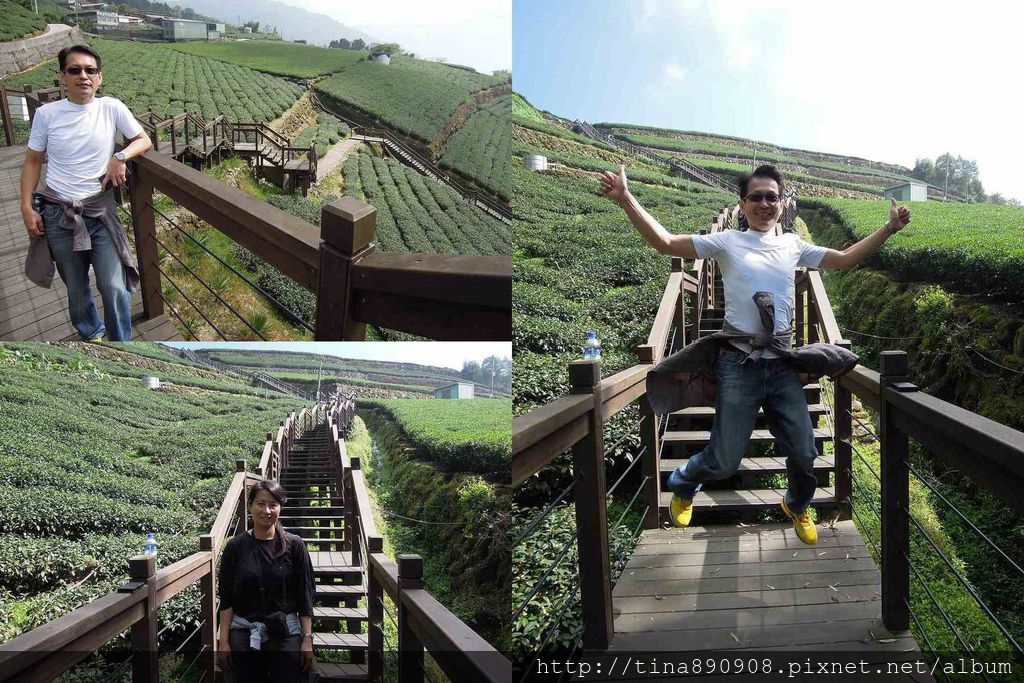 4-1031102-登山社-嘉義-霞之道步道(22)-1.jpg