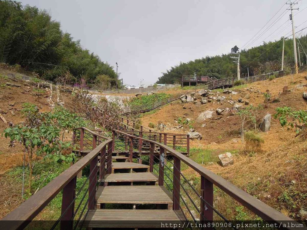 5-1031102-登山社-嘉義-櫻之道步道(7).jpg