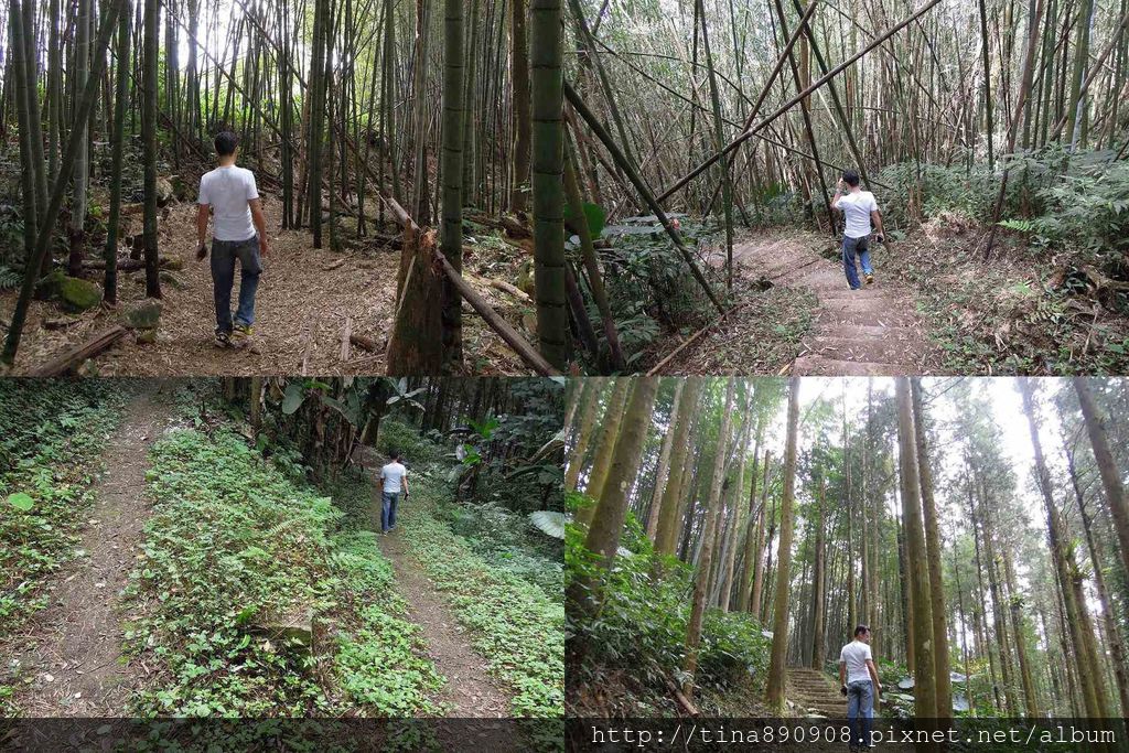 6-1031102-登山社-嘉義-茶之道步道支線(4)-1.jpg