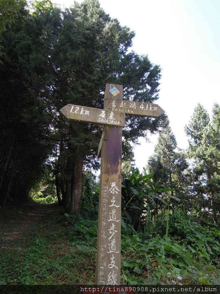 6-1031102-登山社-嘉義-茶之道步道支線(9).jpg