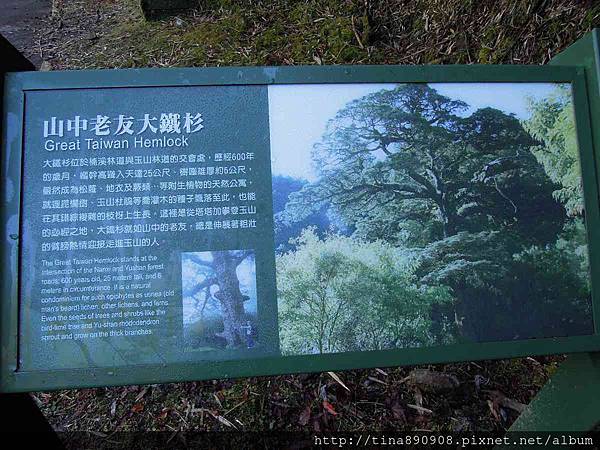 0-1040131-塔塔加-麟趾山+鹿林山步道 (15).jpg