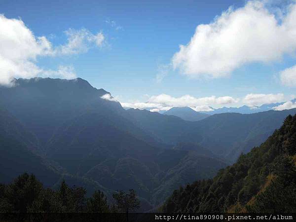 1-1040131-塔塔加-麟趾山步道 (7).jpg