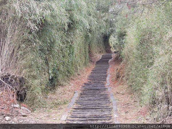 3-1040131-塔塔加-鹿林山莊 (8).jpg