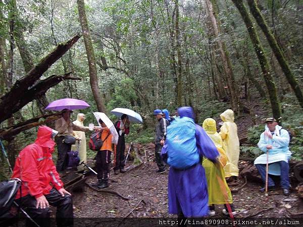 1051008-三星登山社-新竹-司馬庫斯-DAY-1 (52)-鎮西堡步道.jpg