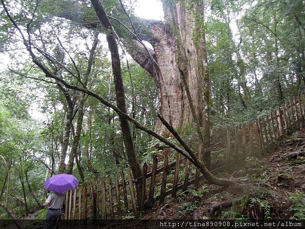 1051008-三星登山社-新竹-司馬庫斯-DAY-1 (69)-鎮西堡步道.jpg