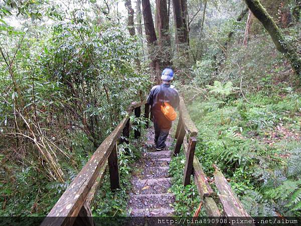 1051008-三星登山社-新竹-司馬庫斯-DAY-1 (97)-鎮西堡步道.jpg