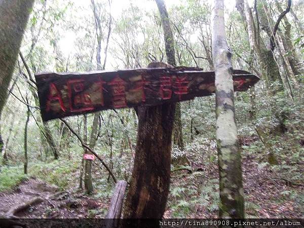 1051008-三星登山社-新竹-司馬庫斯-DAY-1 (112)-鎮西堡步道.jpg