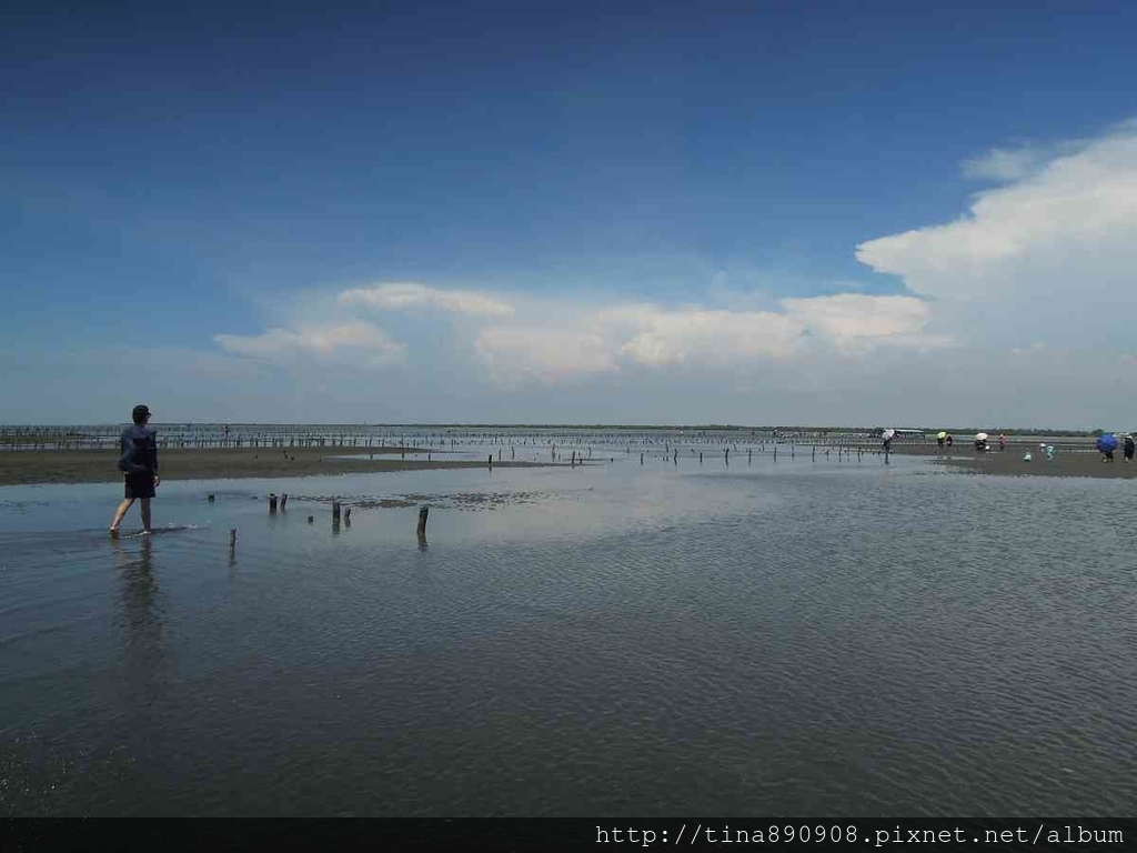 1070805-嘉義-東石-外傘頂洲 (88).jpg 1070805-嘉義-東石-外傘頂洲 (88).jpg