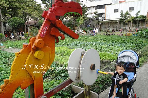 S-11M11D-老樹根-大恐龍