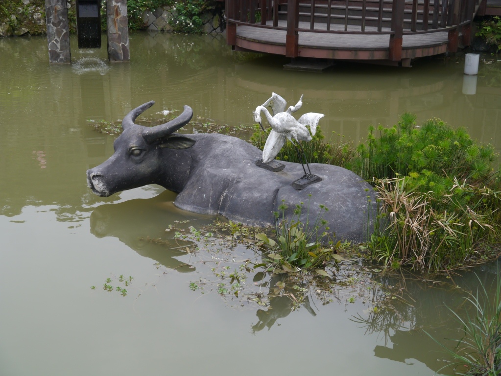 樟湖步道15