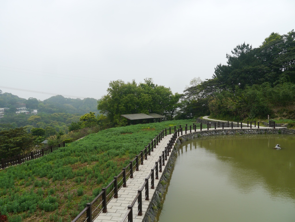 樟湖步道17