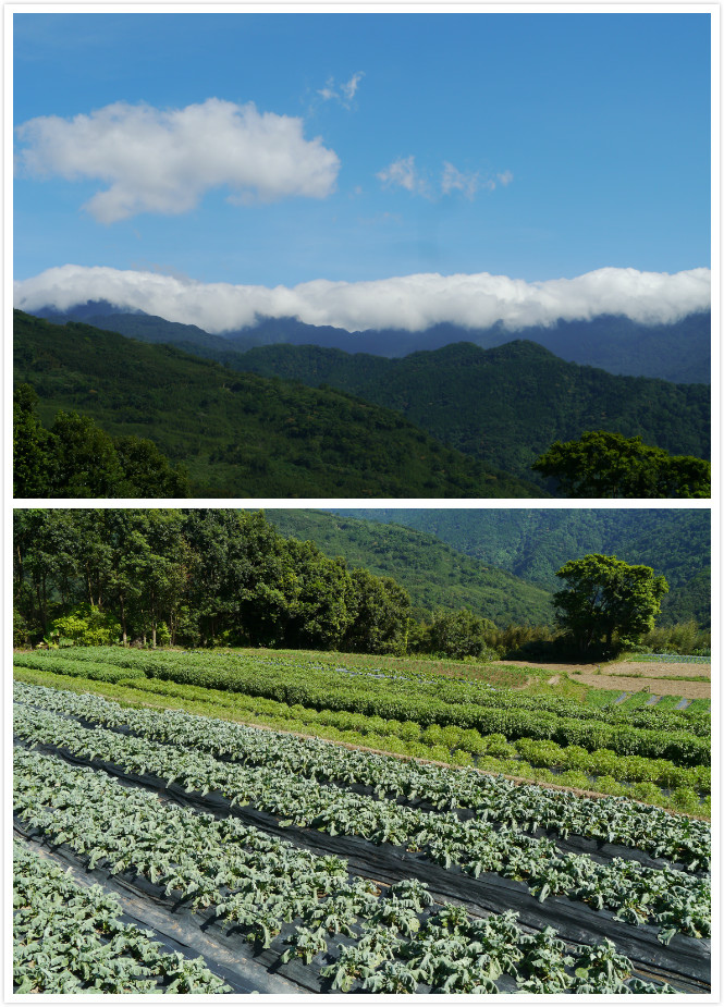 東眼山組合6