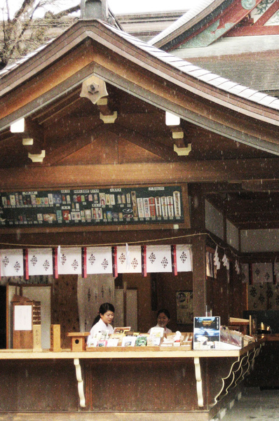 鶴岡八幡宮.jpg