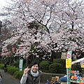 2009.03.28 053 賞櫻第一景IN上野6.JPG