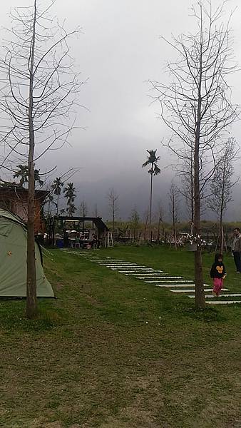 P_20170325_123112.jpg P_20170325_123112.jpg
