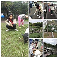 IMG20190316123528-COLLAGE.jpg