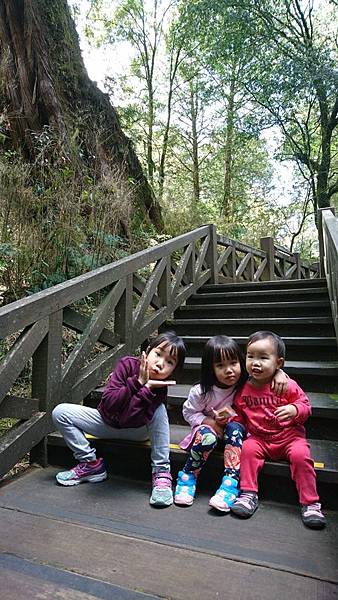 DSC_7540.JPG DSC_7540.JPG